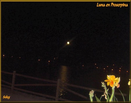 LUNA EN PROSERPINA